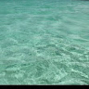 Meet your Posher, Daniela